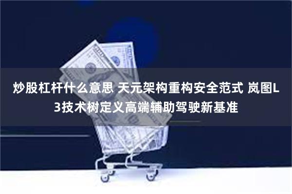 炒股杠杆什么意思 天元架构重构安全范式 岚图L3技术树定义高端辅助驾驶新基准