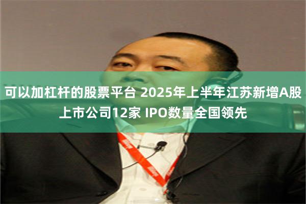 可以加杠杆的股票平台 2025年上半年江苏新增A股上市公司12家 IPO数量全国领先