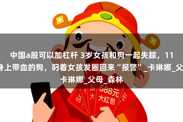 中国a股可以加杠杆 3岁女孩和狗一起失踪，11天后，身上带血的狗，叼着女孩发圈回来“报警”_卡琳娜_父母_森林