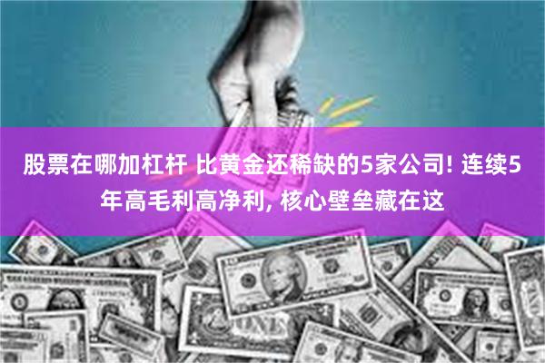 股票在哪加杠杆 比黄金还稀缺的5家公司! 连续5年高毛利高净利, 核心壁垒藏在这